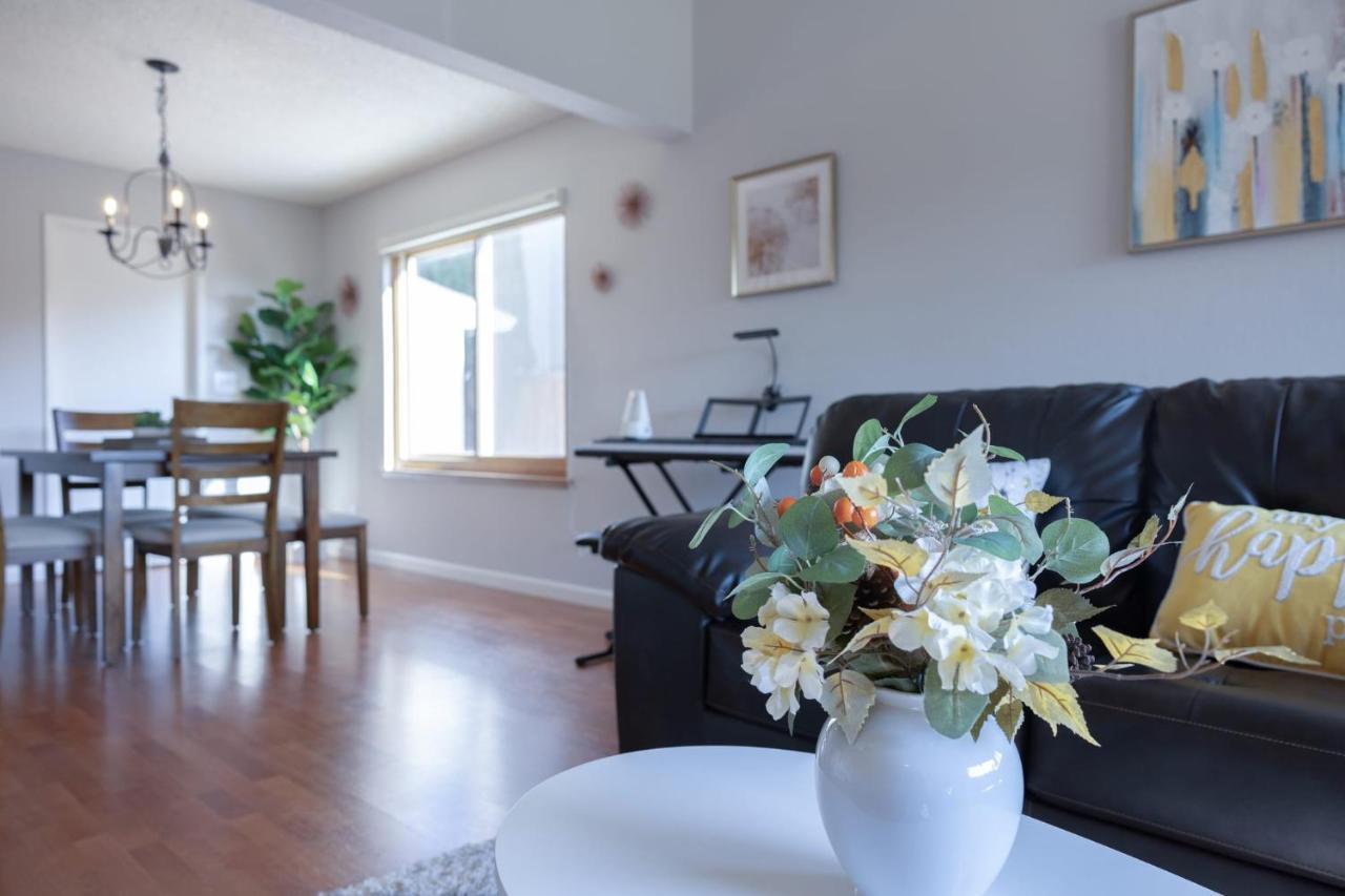 @ Marbella Lane - 4Br Cozy Home In Sj Pool San José Zewnętrze zdjęcie